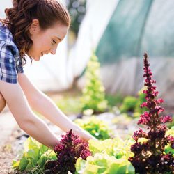 Gardening