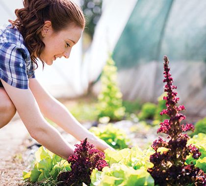 Gardening