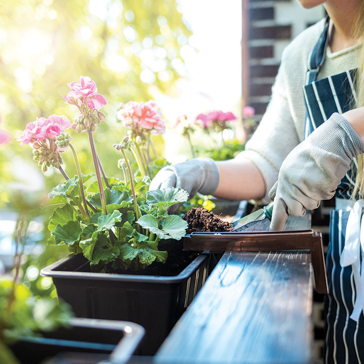 It’s Time to Design Your Dream Outdoor Living