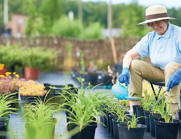 Pruning Services