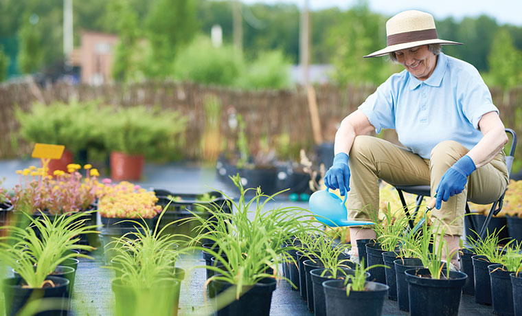 Pruning Services