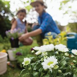 Plant Nursery