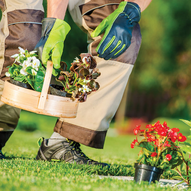 Lawn & Garden Services